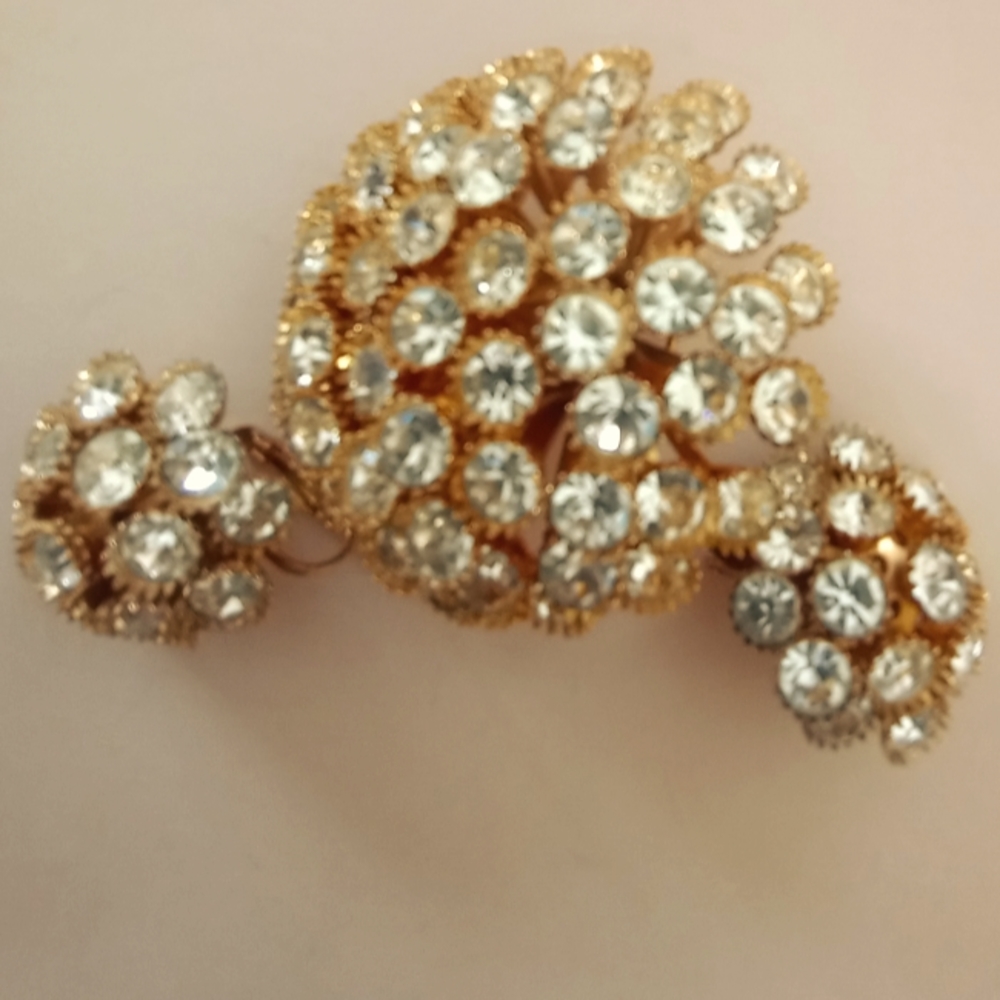 Earrings with Brooch set